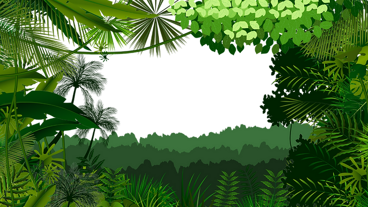Bounce Safari - Website (5).png