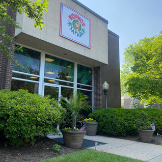 Bounce Safari | Waldwick, NJ | Private kids party rentals