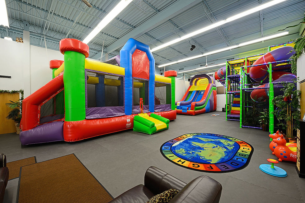 Bounce Safari Facility Play Area