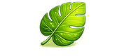 ChatGPT Image Jun 25, 2026, 03_36_20 PM.png